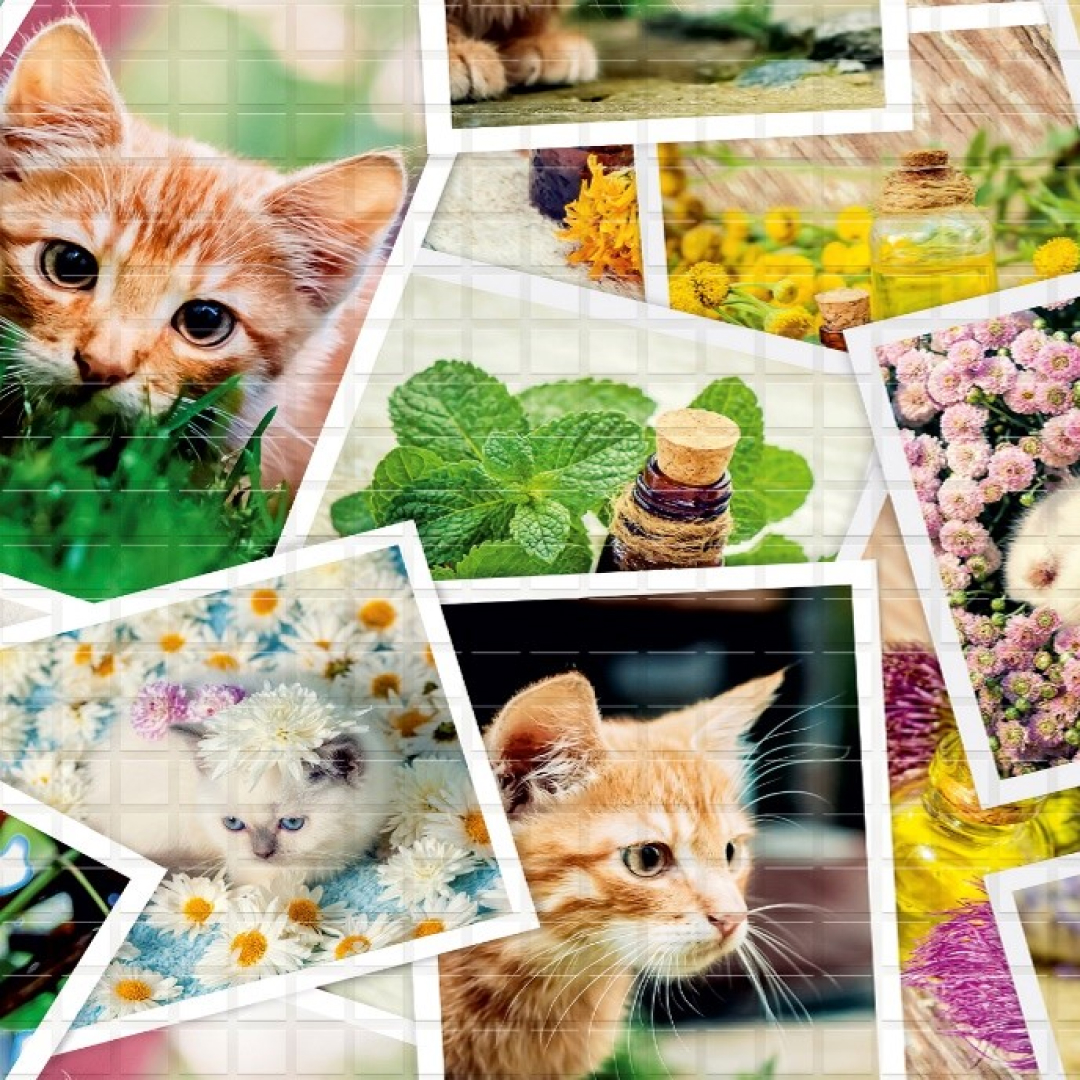 Панель ПВХ 0,3 мозаика «Котята» STELLA 