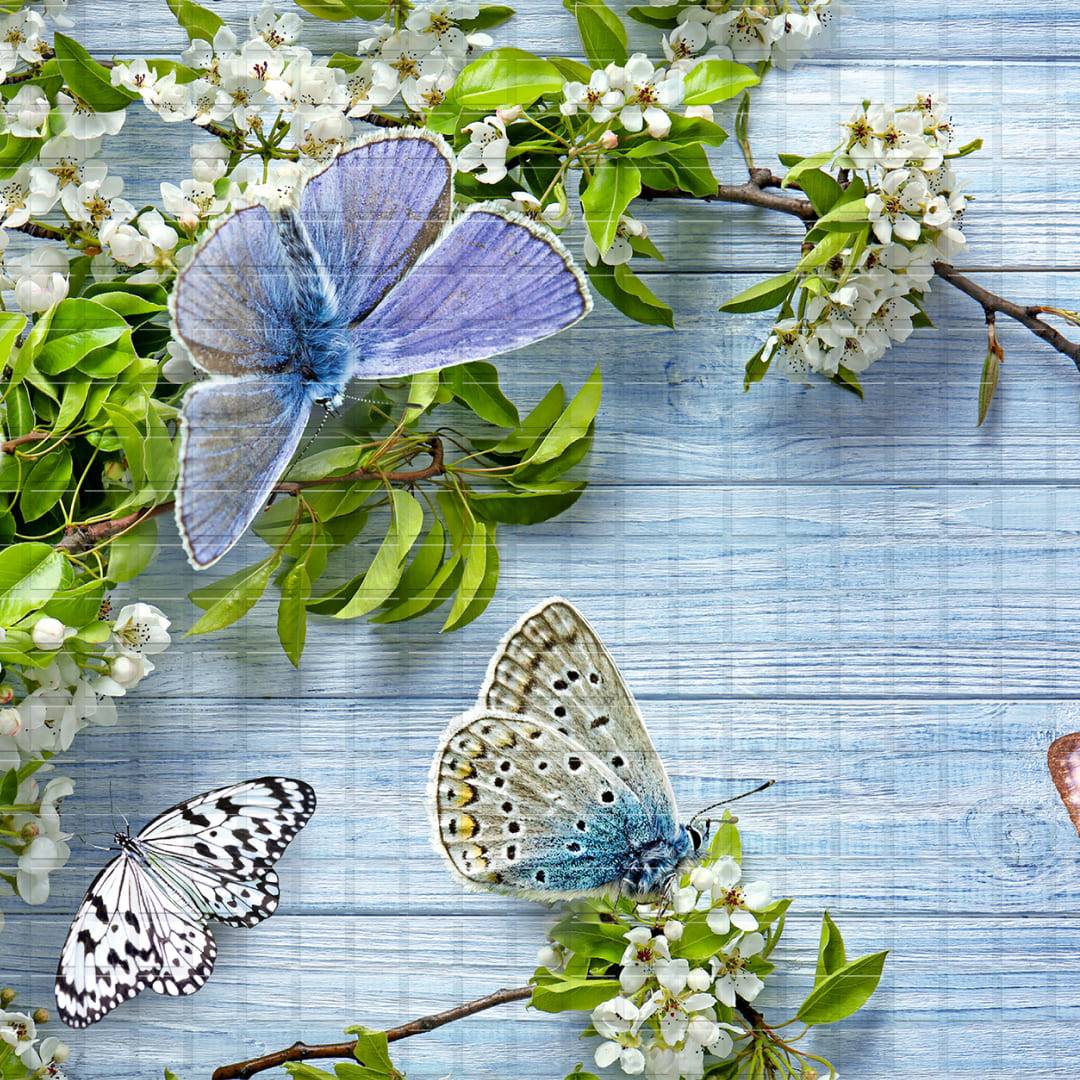 Панель ПВХ 0,3 мозаика «Баттерфляй» STELLA 