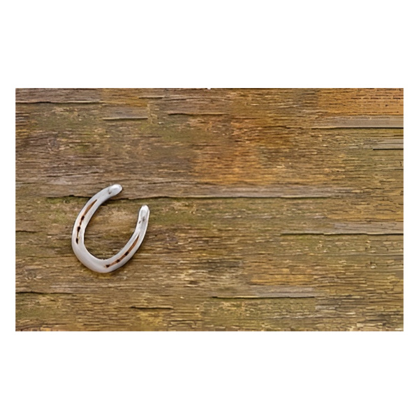 Коврик на ПВХ основе 60х90см "Подкова"