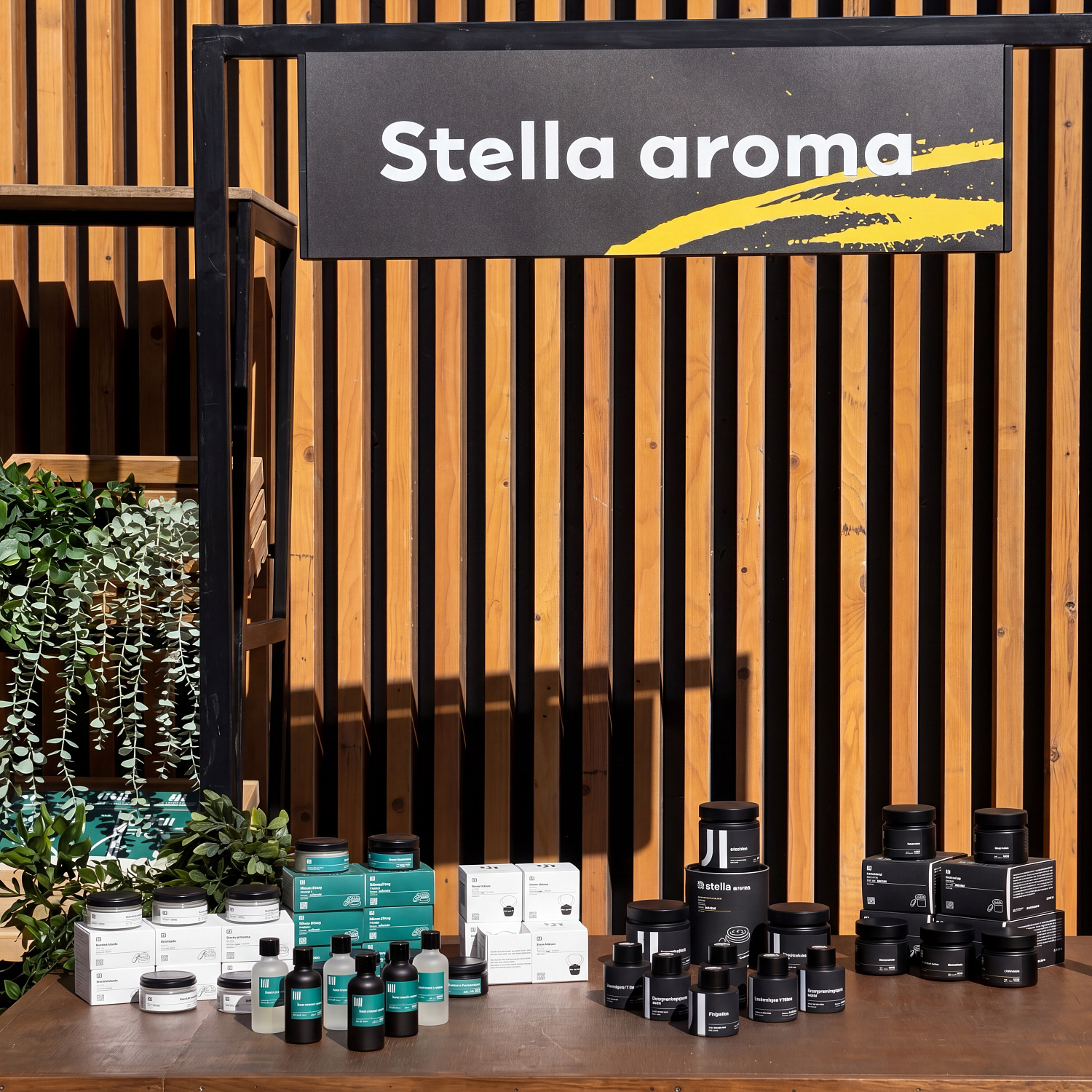 Stella на МЕГА Урбан. Фест